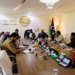 Roadmap Committee, HNEC Chair discuss electoral process technical issues