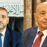 HoR and HCS representatives hold constitutional talks in Cairo