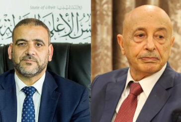 HoR and HCS representatives hold constitutional talks in Cairo