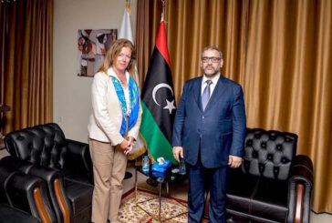 Williams, Mishri review plans for final round of Libyan talks in Cairo