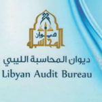 Corruption reported by Libyan Audit Bureau was only tip of iceberg, says activist