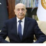 Establishment of Constitutional Court reinforces justice in Libya, Saleh confirms