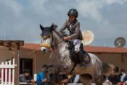 Libya restarts equestrian championships after 13 years