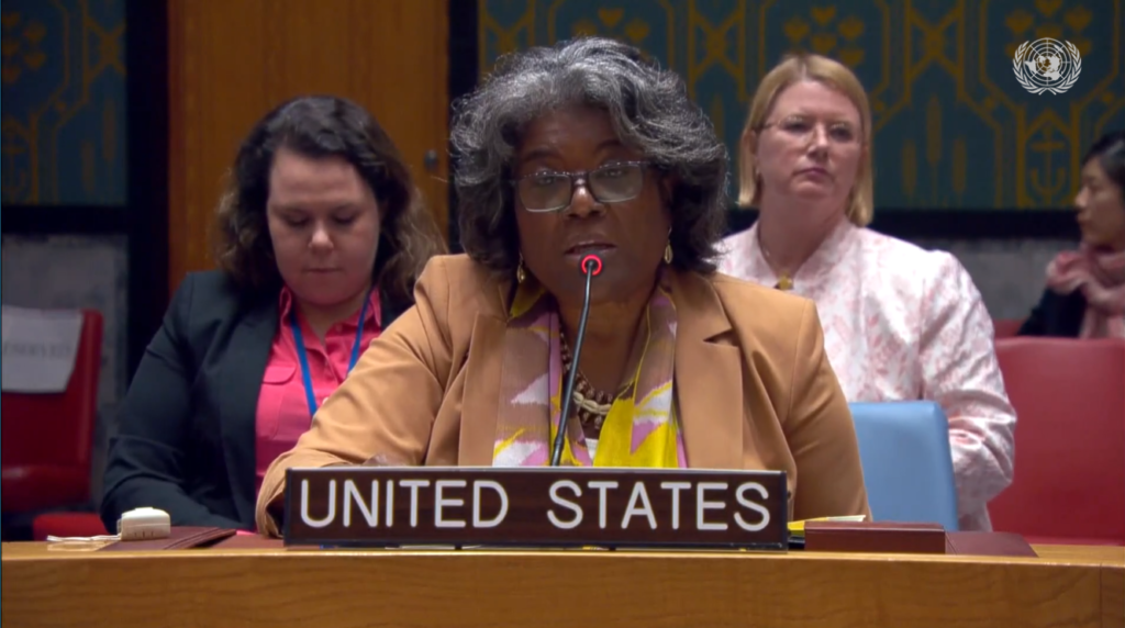 US Representative expresses concern on arms trafficking in Libya; calls for expulsion of mercenaries