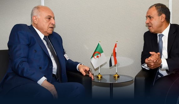 Egypt and Algeria: Simultaneous Libyan elections and a complete withdrawal of foreign forces Egypt and Algeria: Simultaneous Libyan elections and a complete withdrawal of foreign forces
