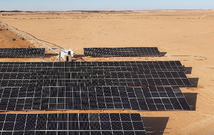 NDA: Field Visit to Follow Up on the Umm Al-Dilal Agricultural Project 87