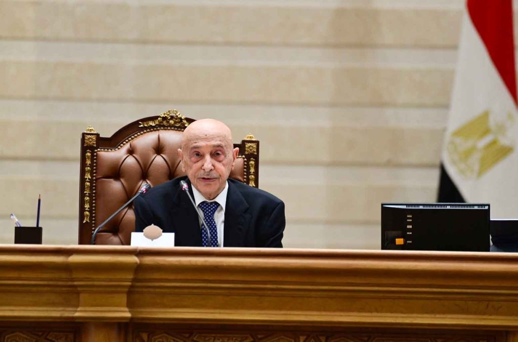 From the Egyptian Parliament: Counselor Saleh Praises Egypt's Role in Supporting Libya's Stability and Unity