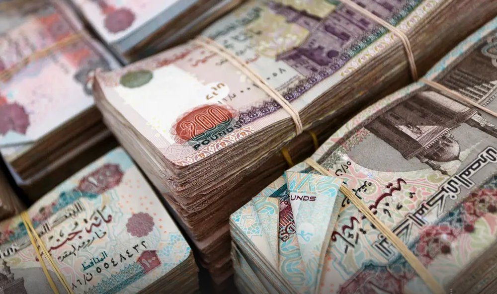 Egyptians spent about 100 billion pounds in nine days Egyptians spent about 100 billion pounds in nine days