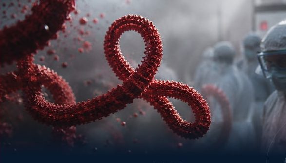 National Center for Disease Control: No Confirmed or Suspected Ebola Cases in Libya