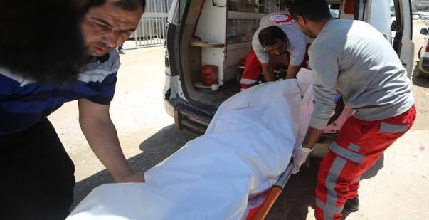 Three Palestinians Killed in Gaza, Raising Death Toll from Israeli Assault to 73,246 Three Palestinians Killed in Gaza, Raising Death Toll from Israeli Assault to 73,246